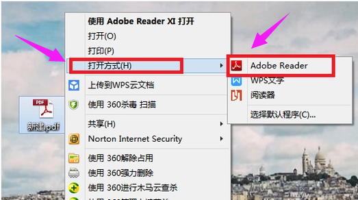 电脑怎么打开pdf文件