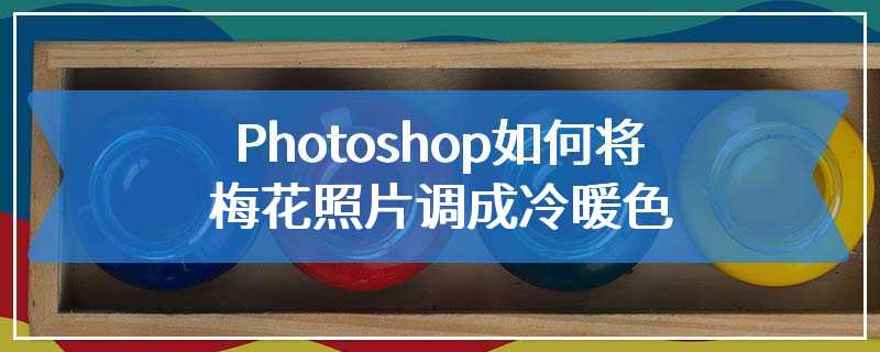 Photoshop如何将梅花照片调成冷暖色