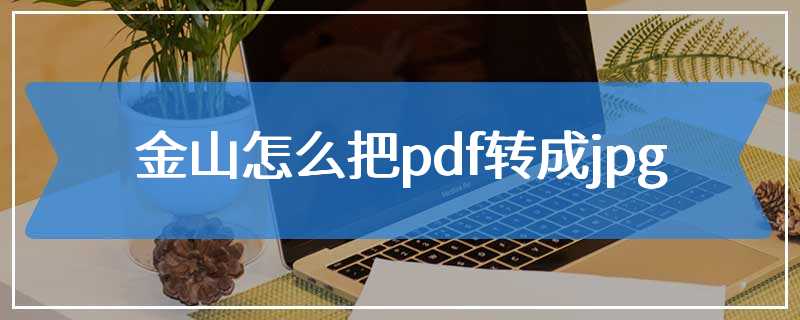 金山怎么把pdf转成jpg