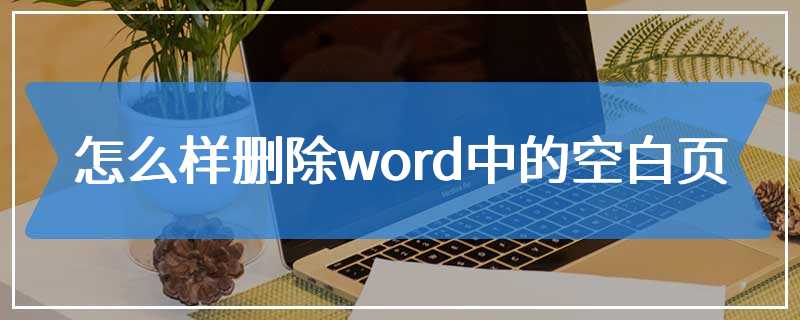 怎么样删除word中的空白页