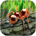 蚂蚁荒野生存模拟内购破解版