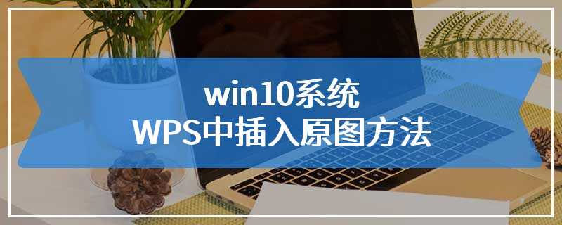 win10系统WPS中插入原图方法