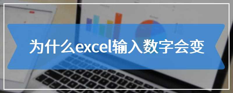 为什么excel输入数字会变