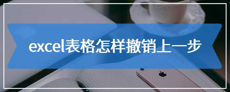 excel表格怎样撤销上一步