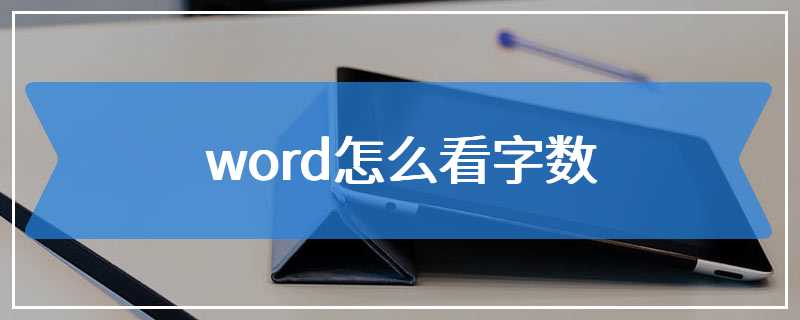 word怎么看字数