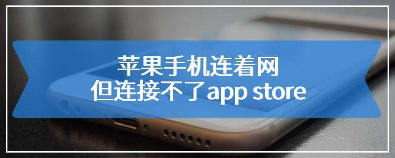 苹果手机连着网但连接不了app store