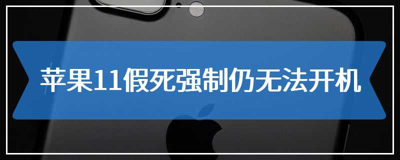 苹果11假死强制仍无法开机