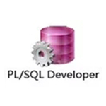 plsql developer14v14.0.2.1969 绿色版