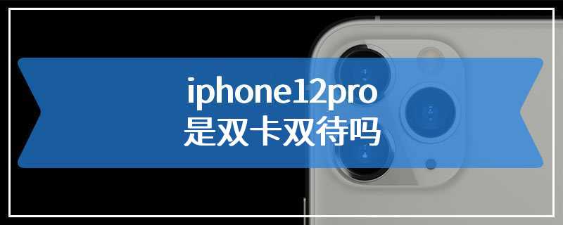 iphone12pro是双卡双待吗