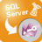 MsSqlToAccess(MSSQL转Access工具)