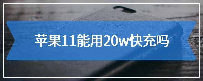 苹果11能用20w快充吗