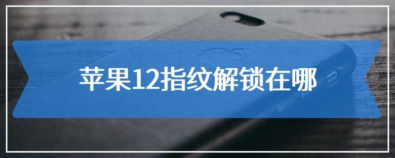 苹果12指纹解锁在哪