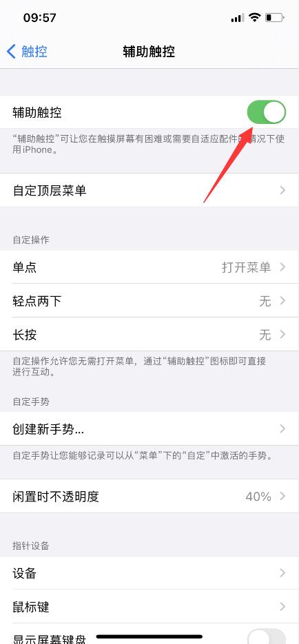 苹果手机ios14系统悬浮球在哪设置(4)