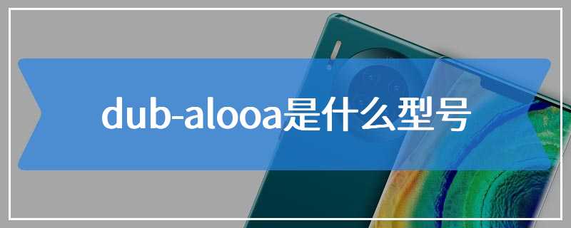 dub-alooa是什么型号
