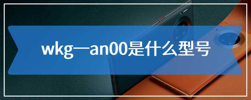 wkg一an00是什么型号