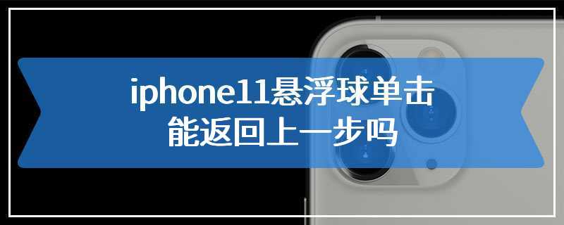 iphone11悬浮球单击能返回上一步吗