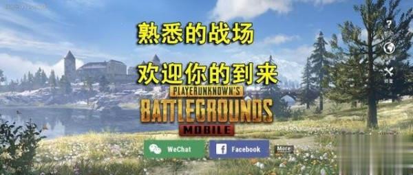 刺激战场亚服下载(7)