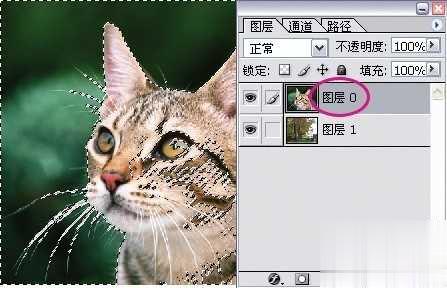 photoshop利用通道为猫咪画面选出主体(13)