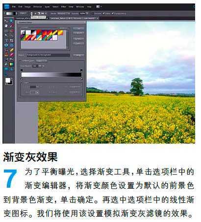 PS调整油菜花图片的光线与色彩(6)