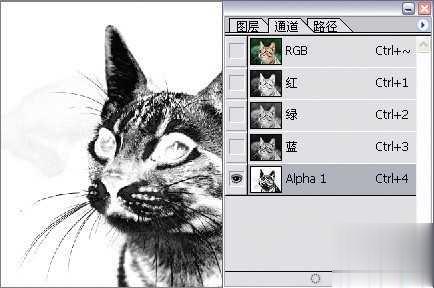 photoshop利用通道为猫咪画面选出主体(10)