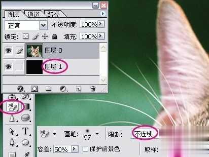 photoshop利用通道为猫咪画面选出主体(4)