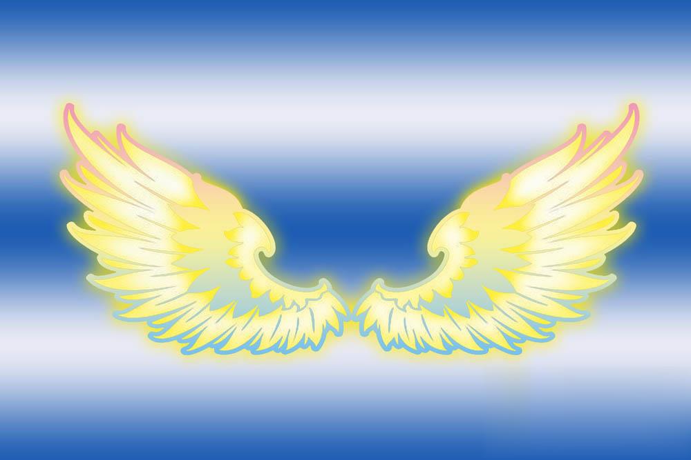 ps怎么绘制一双漂亮的天使翅膀(8)