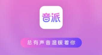 音派下载安装(5)