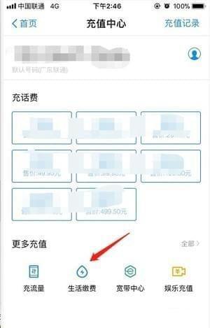 支付宝电费余额怎么查(1)