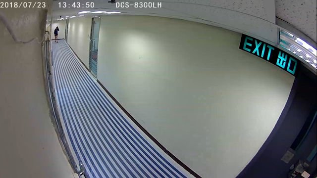 DCS-8300LH