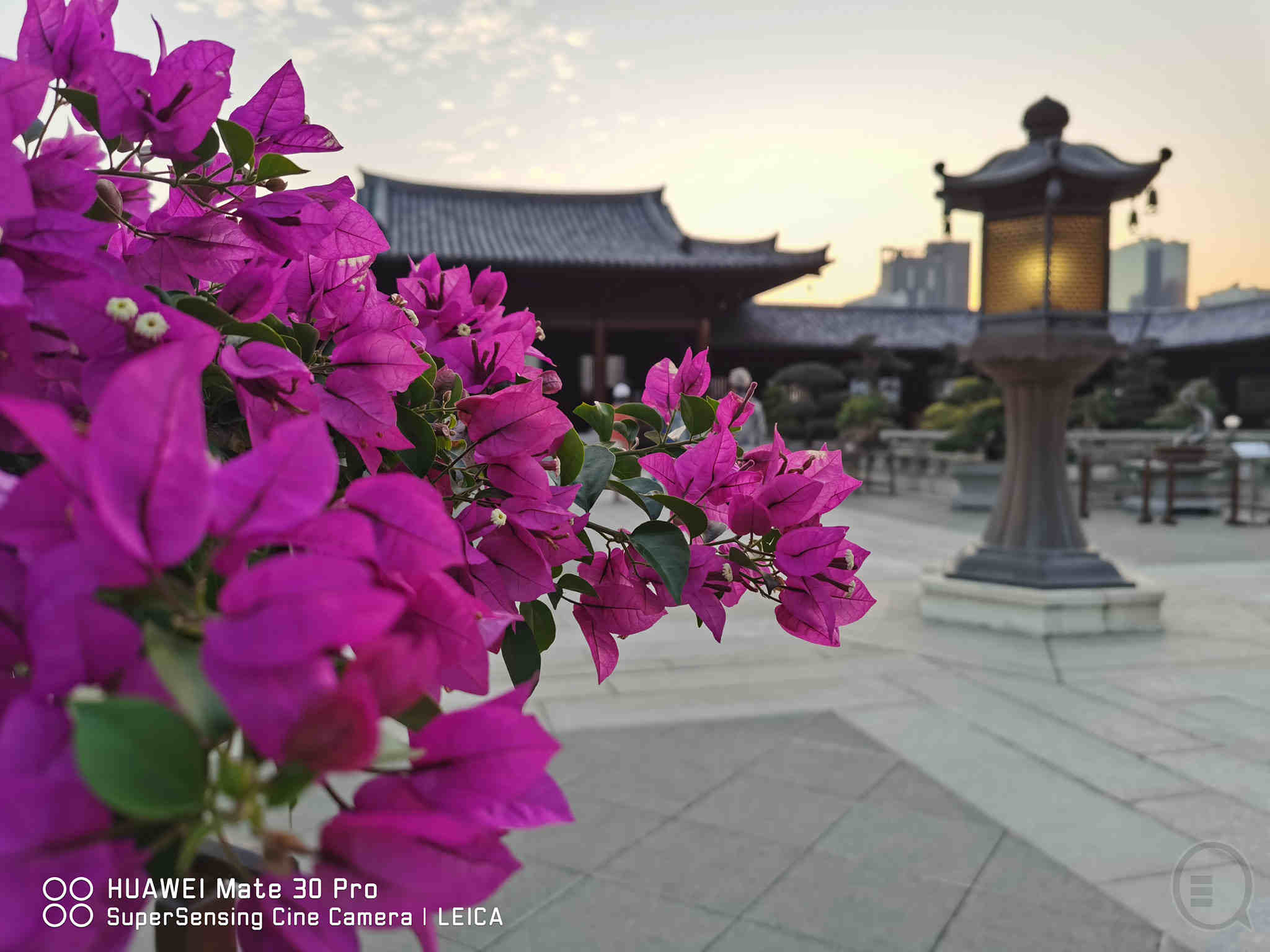 HUAWEI Mate 30 Pro 拍摄实测：这样拍照片真的超讚啊！(10)