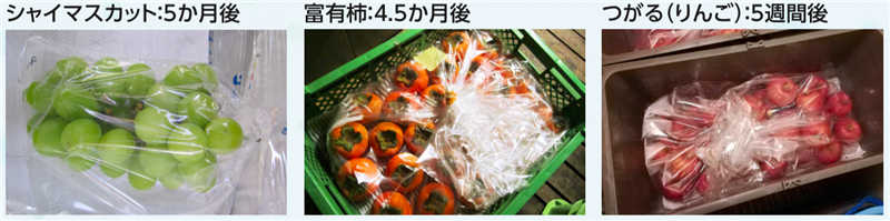 日本最新保鲜膜，蔬果可以保鲜6个月!!!!(2)