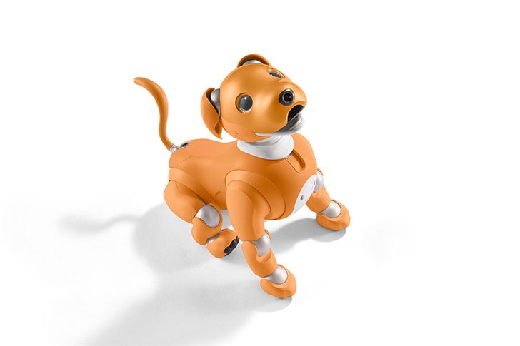 Sony 机械狗 Aibo 新年限定版，变身保安狗(1)
