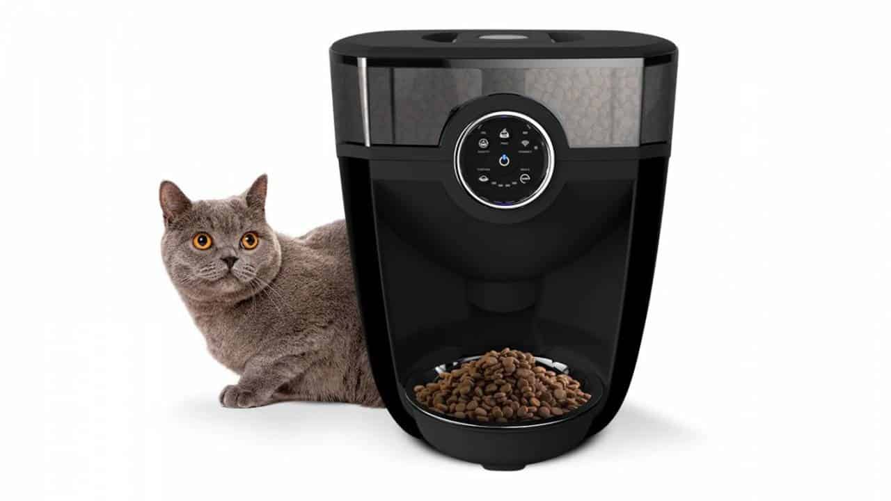 自动餵猫机，奴才再也不怕忘记餵主人了(3)