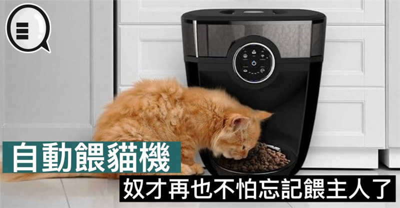 自动餵猫机，奴才再也不怕忘记餵主人了