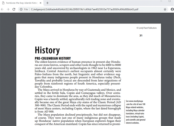 黑客利用 Chrome 漏洞 网上打开 PDF 即入侵(2)