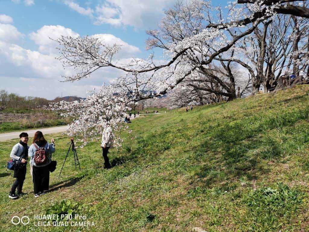 P30 Pro 价钱 Price 及评测：10倍无损变焦及广角镜全面实测 - MobileMagazine(56)