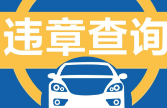 查询违章软件合集