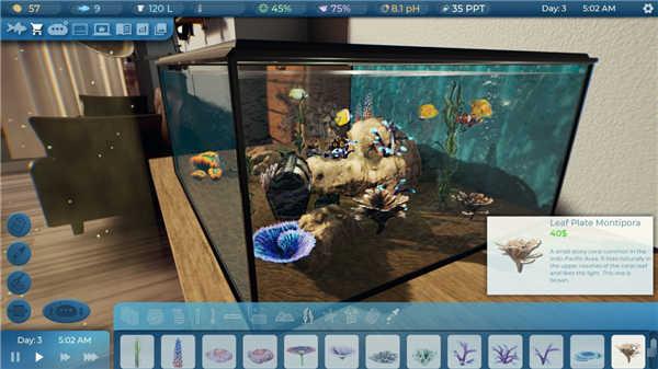 3D版《Fishkeeper》将有新元素？确定在Steam上发售！(2)