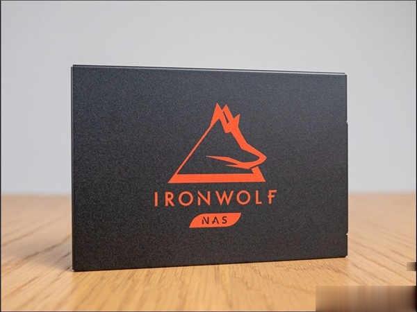 优质 NAS 快取选择，全新 Seagate IronWolf 125 4TB SSD 开箱实测(2)