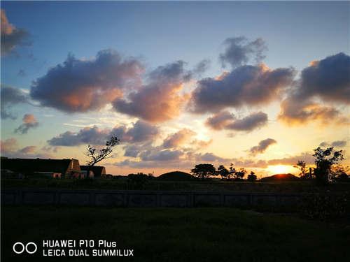 拥有HUAWEI P10 Plus 你就是人像大师 随便拍都好看(80)