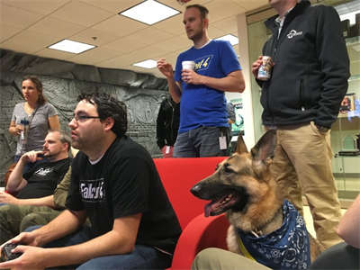 Xbox联合B社慈善捐款以纪念《辐射4》狗肉原型(4)