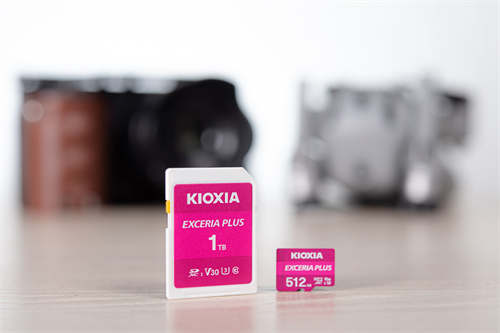 储存旅游与文化 KIOXIA EXCERIA PLUS 记忆卡用大容量承载「撒酱」的台日梦(7)