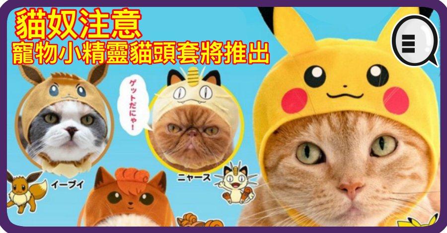 猫奴注意 宠物小精灵猫头套将推出