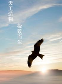 天工造物app 天工造物app
