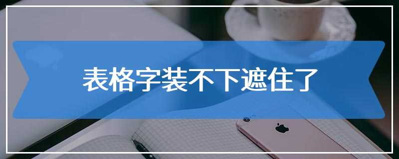 表格字装不下遮住了