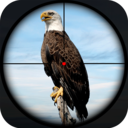 鸟类猎人狙击手v1.0