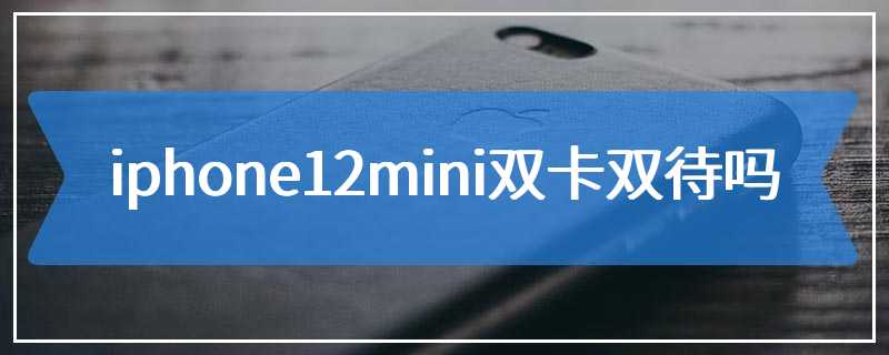 iphone12mini双卡双待吗