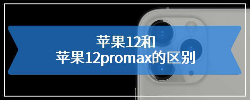 苹果12和苹果12promax的区别