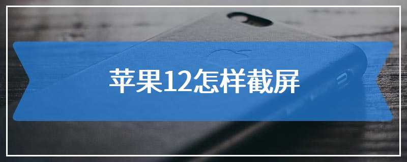 苹果12怎样截屏