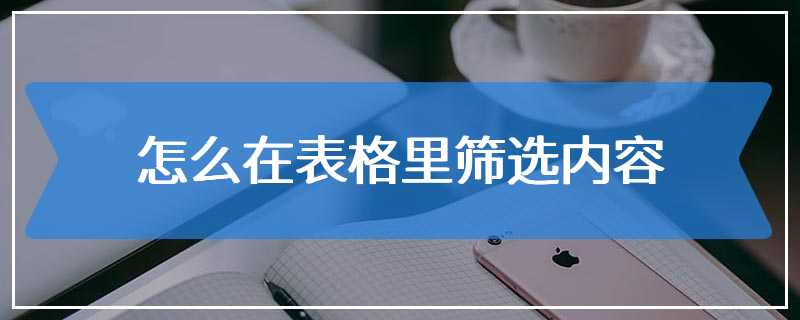 怎么在表格里筛选内容